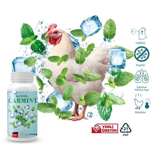 Bactesil Carmint