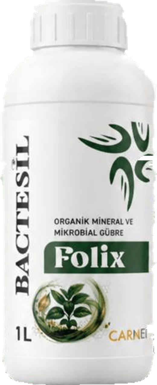 Bactesil Folix
