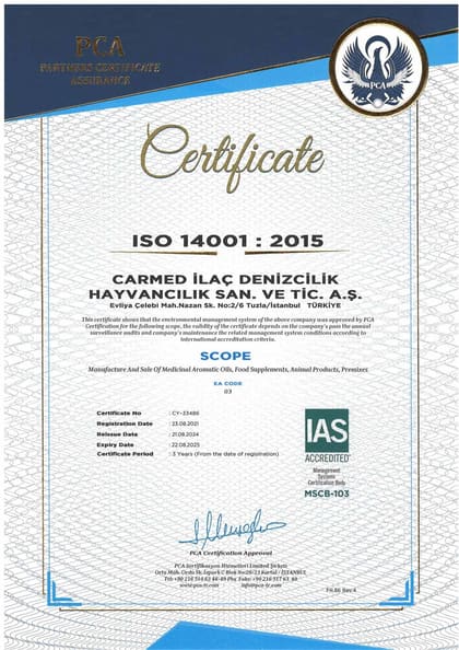 ISO 14001:2015 · İngilizce belgesinin önizlemesi