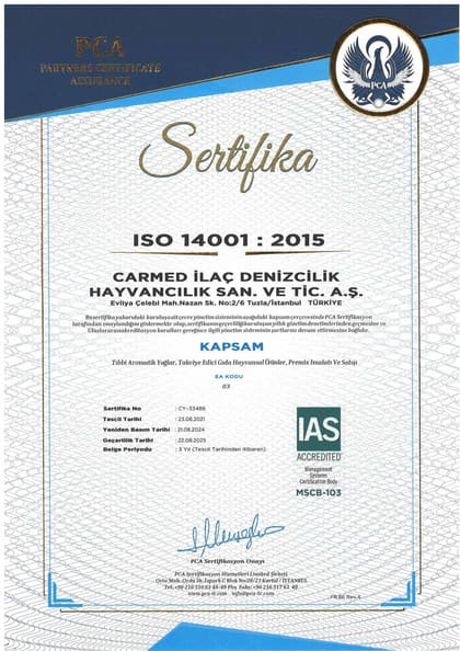 ISO 14001:2015 · Türkçe belgesinin önizlemesi
