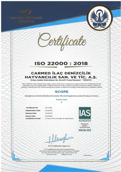 ISO 22000:2018 · İngilizce belgesinin önizlemesi