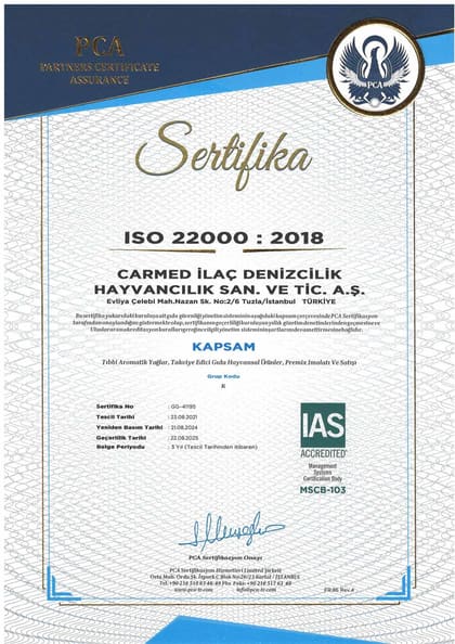 ISO 22000:2018 · Türkçe belgesinin önizlemesi