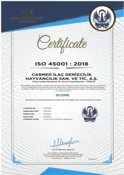 ISO 45001:2018 · İngilizce belgesinin önizlemesi