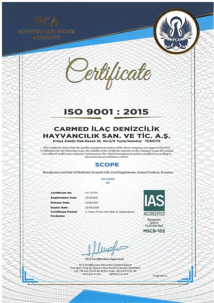 ISO 9001:2015 · İngilizce belgesinin önizlemesi