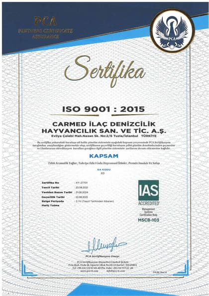 ISO 9001:2015 · Türkçe belgesinin önizlemesi